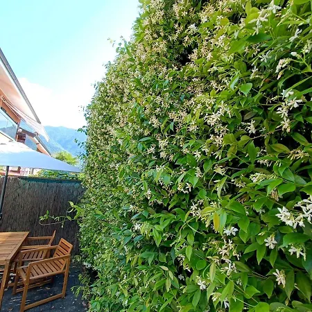 Il Gelsomino Con Giardino E Piscina